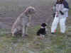 PICT0114.jpg (146102 Byte)