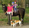 Spasspfoten 063kl.jpg (67226 Byte)