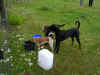 pict0042.jpg