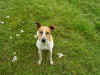 pict0043.jpg