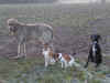 pict0109.jpg (172068 Byte)